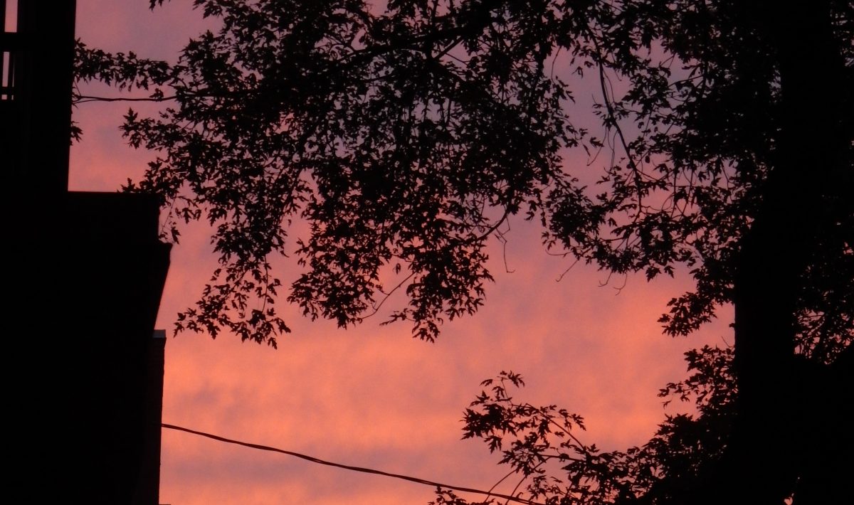 Coucher de soleil du jour, sans retouche, depuis le balcon de ma chambre.