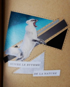 Collage papier : renard arctique et formes géométriques dans les tons de bleus, noirs, gris et blancs. On peut lire « Suivre le ryhtme de la nature » au bas.