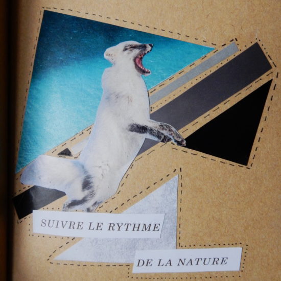 Collage papier : renard arctique et formes géométriques dans les tons de bleus, noirs, gris et blancs. On peut lire « Suivre le ryhtme de la nature » au bas.